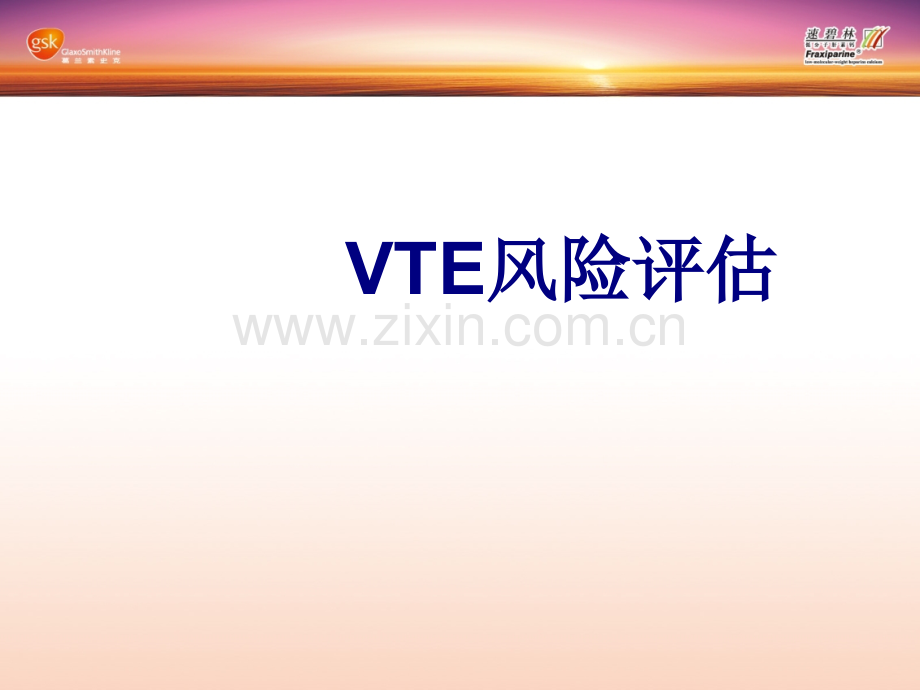VTE风险评估课件.ppt_第1页