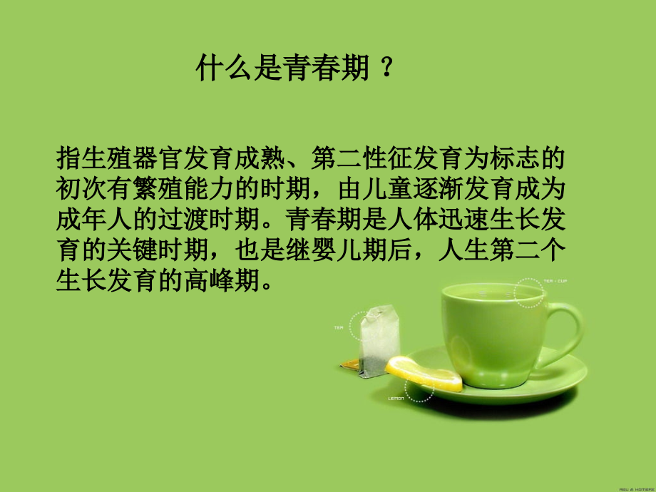 医学课件关爱青春健康.ppt_第1页