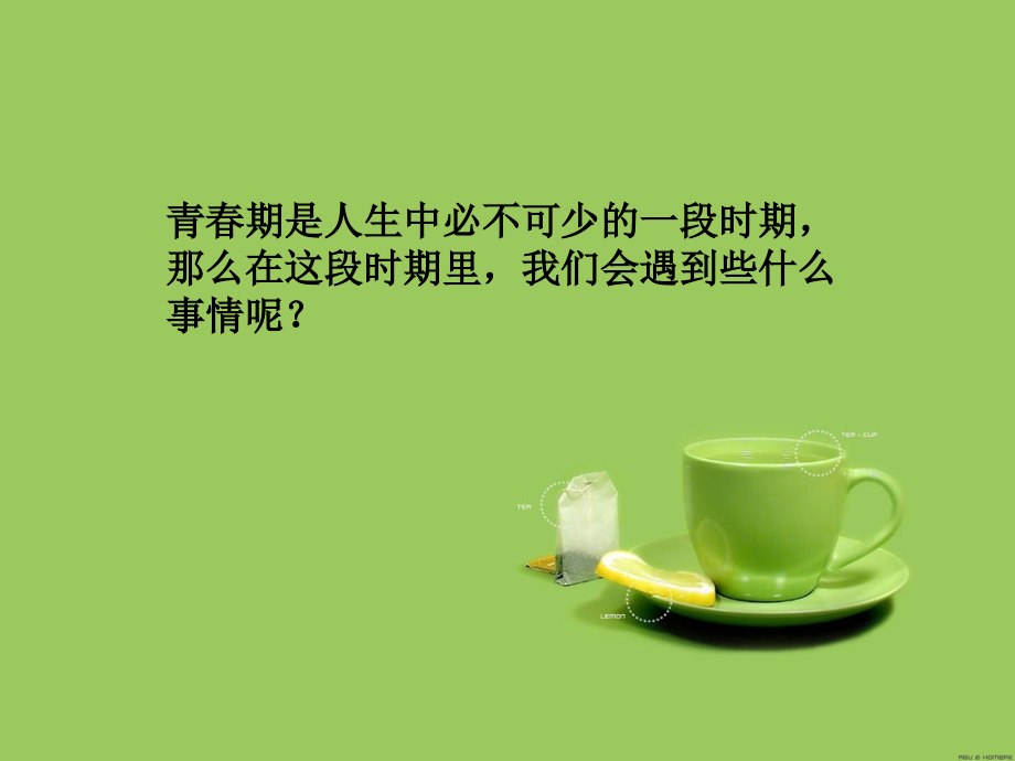 医学课件关爱青春健康.ppt_第2页