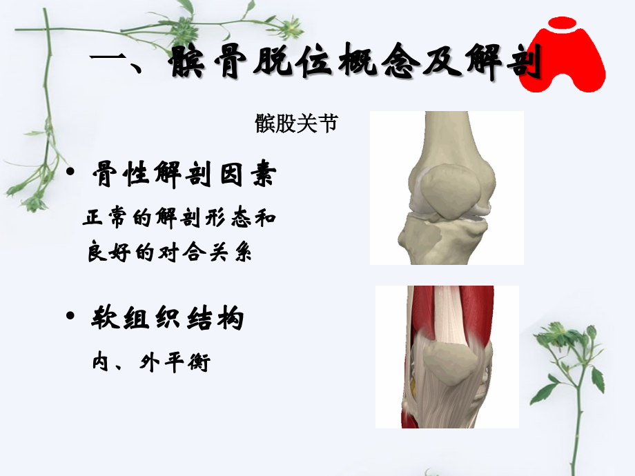 髌骨脱位-.ppt_第2页