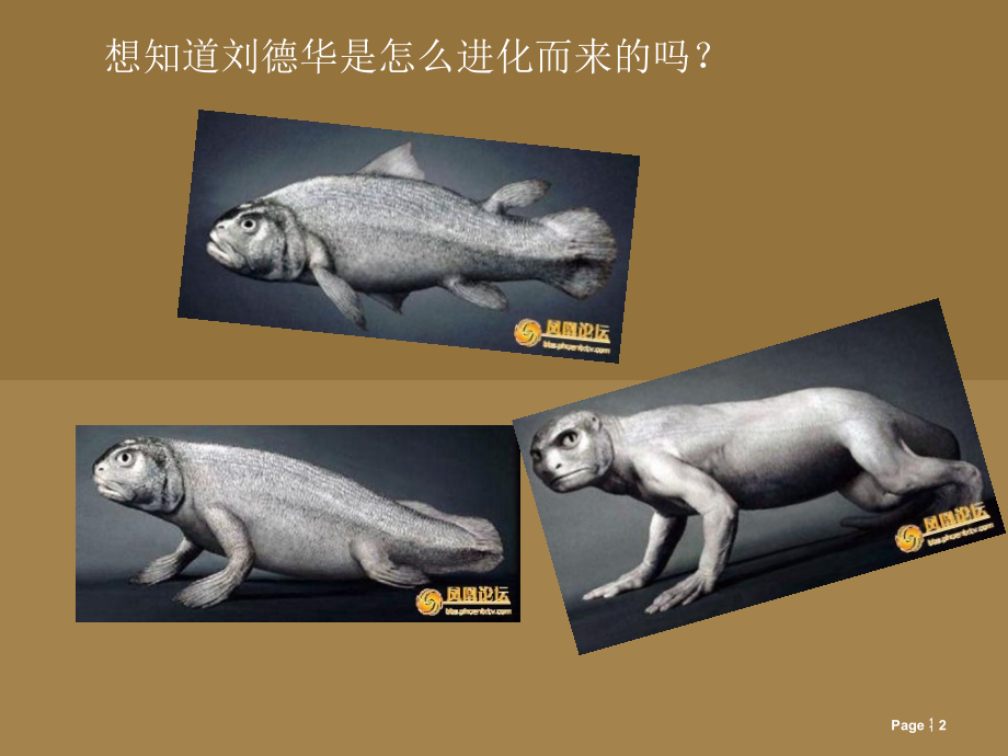 人类进化1021180.ppt_第2页