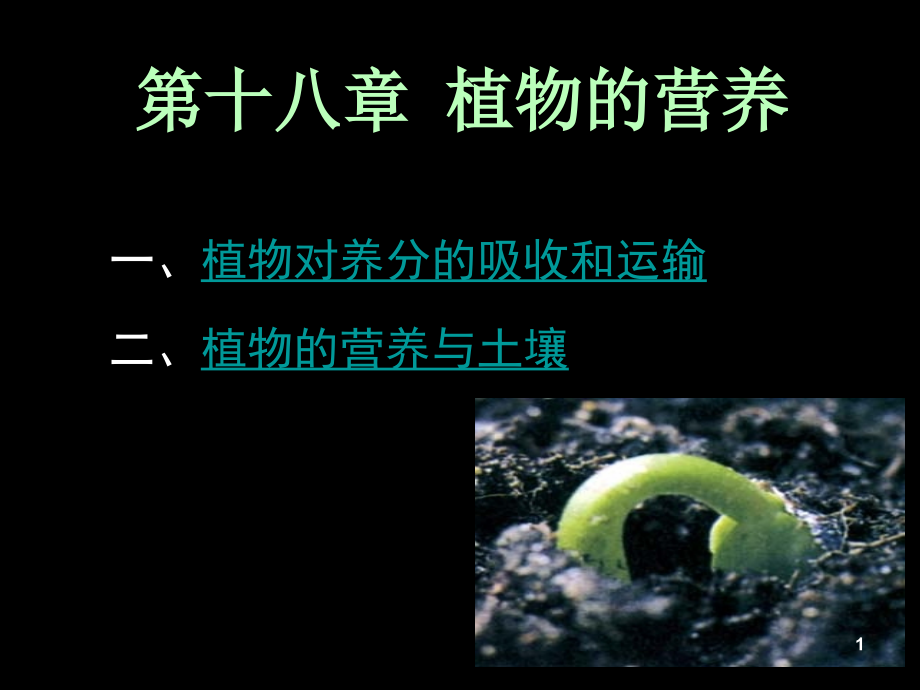 第十八章-植物的营养.ppt_第1页
