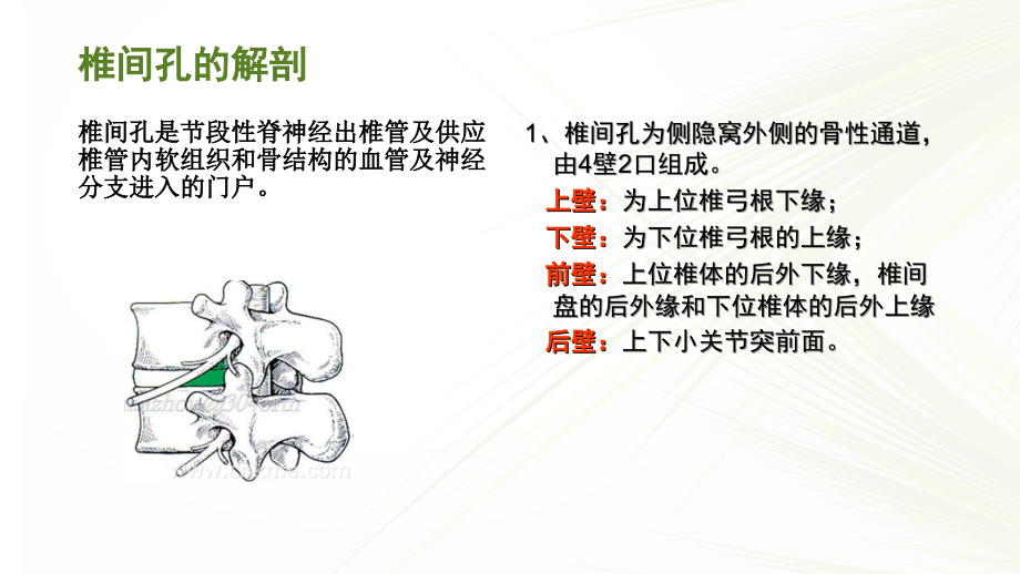 椎间孔镜手术配合.ppt_第2页