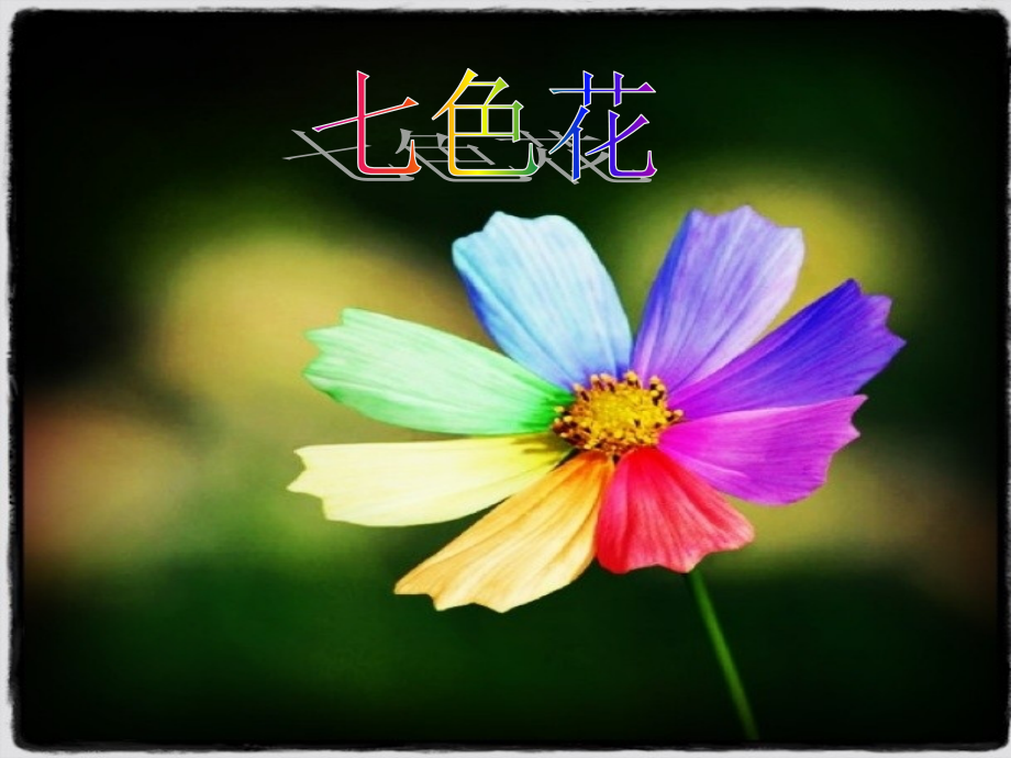 《七色花》课件.ppt_第1页