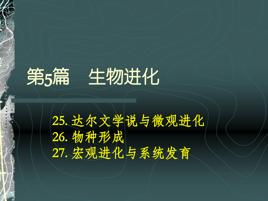 第25、26、27章.-生物进化.ppt_第1页