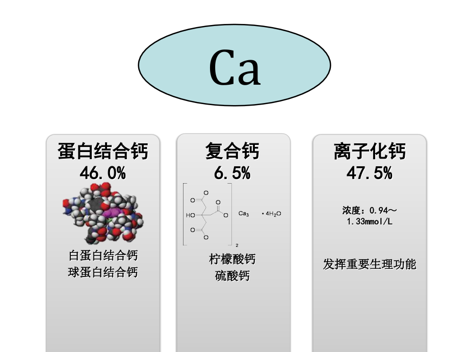 矿物质钙.ppt_第2页