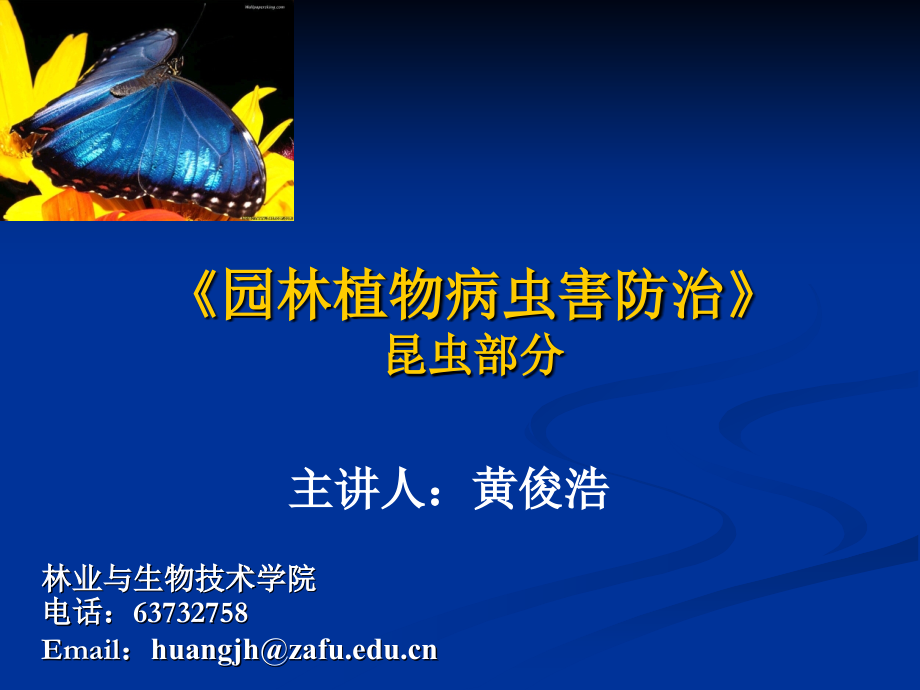 园林病虫害防治(虫害绪论).ppt_第1页