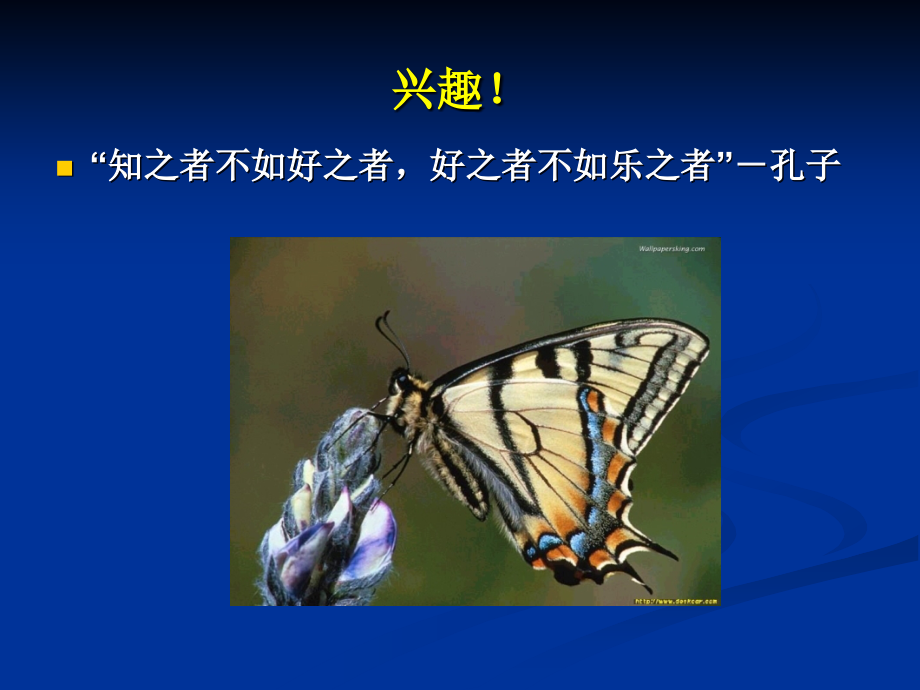 园林病虫害防治(虫害绪论).ppt_第2页
