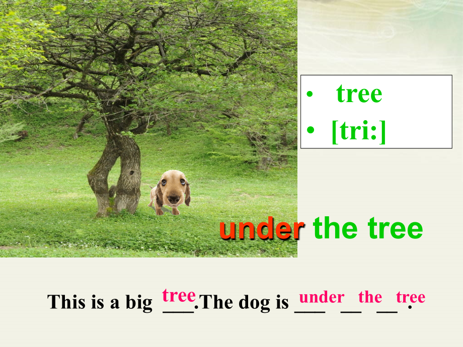 L31whereissally新.ppt_第2页