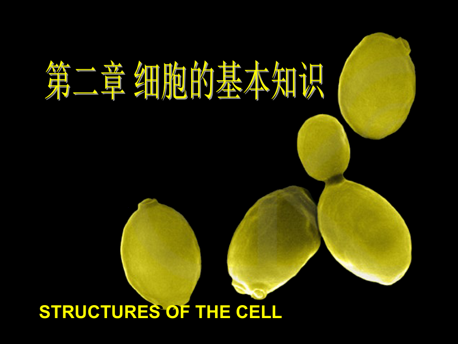 第2章-细胞基本知识.ppt_第1页