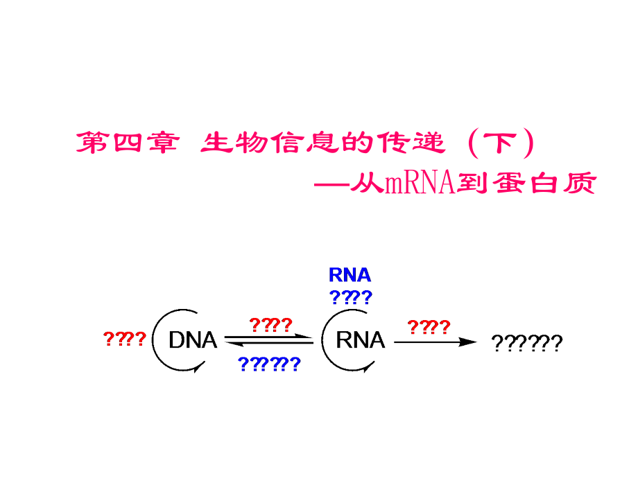 第四章-生物信息的传递(下)——翻译.ppt_第1页