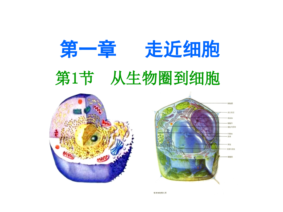 高一生物必修一课件.ppt_第1页
