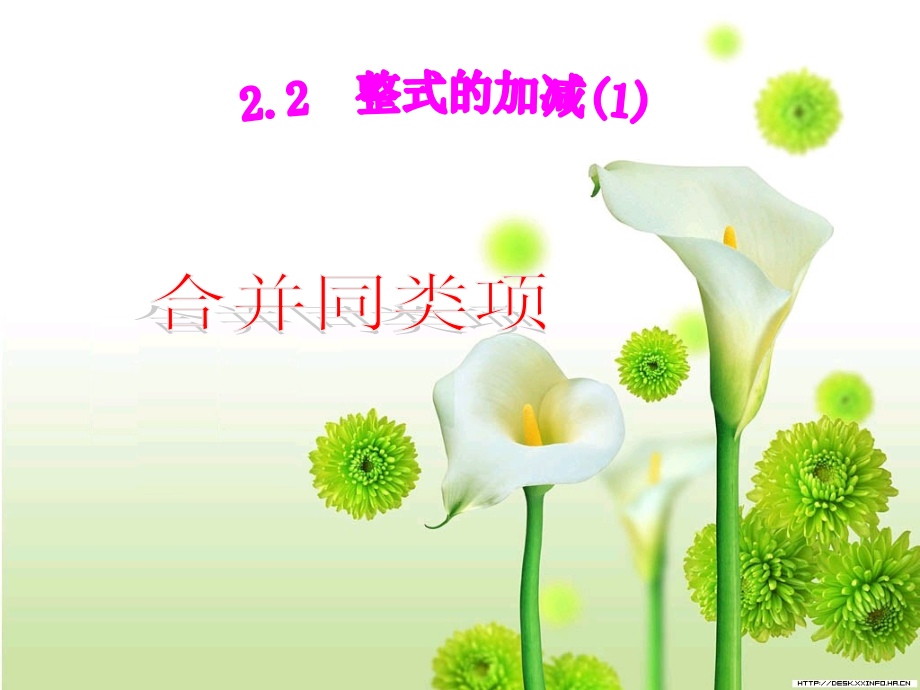 【精心整编】七年级初一数学上册PPT课件下载2.2.1整式的加减.ppt_第1页