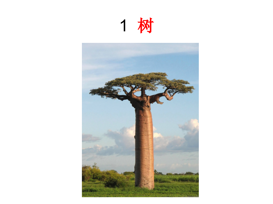 图像记忆：数字编码(超好用).ppt_第2页