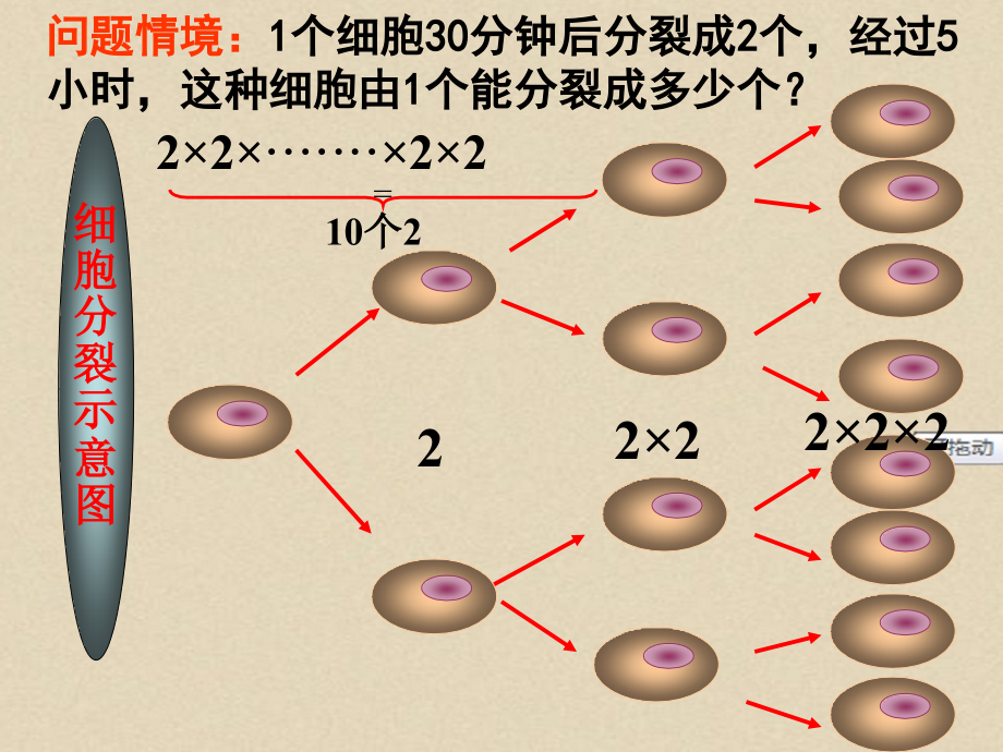 七年级初一数学上册PPT课件下载1.5有理数的乘方.ppt_第2页