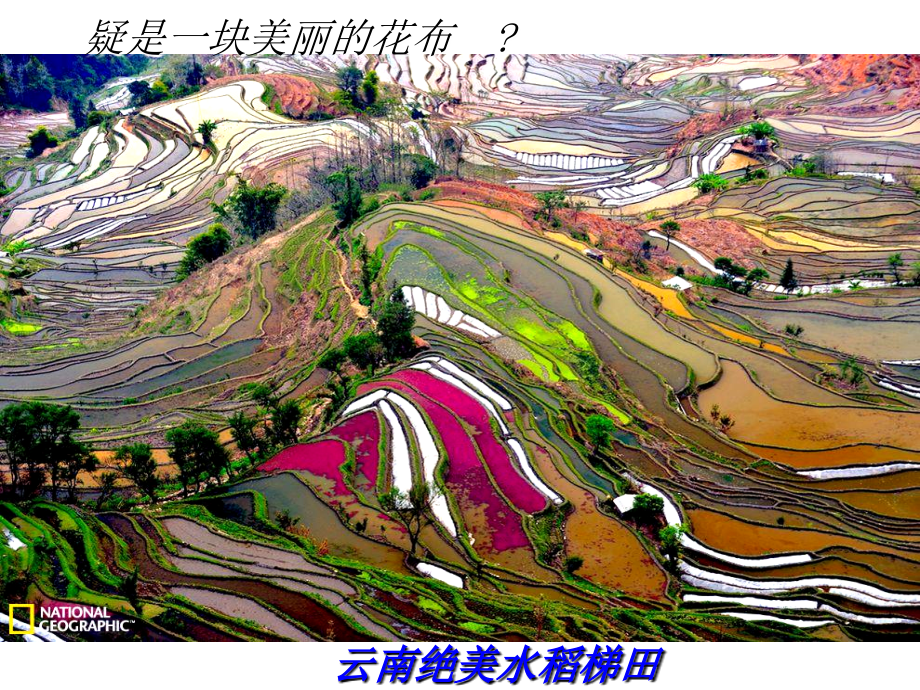 群文阅读走进大自然.ppt_第2页