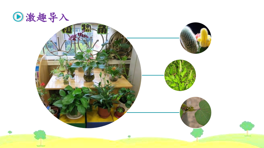 部编版三年级下册第一单元习作我的植物朋友课件(37张).ppt_第2页