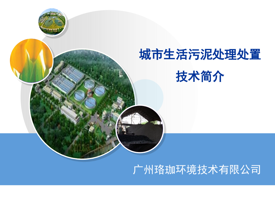 市政污泥处理处置.ppt_第1页