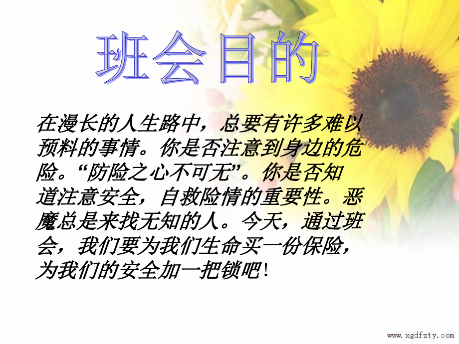 安全主题班会5.ppt_第2页