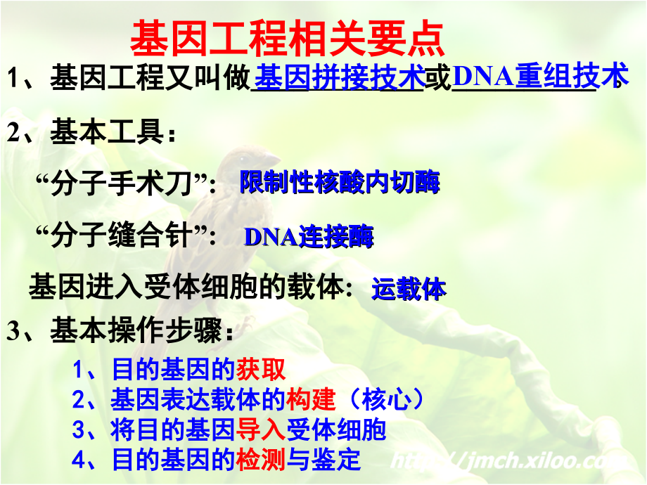 高中生物选修三专题复习.ppt_第2页