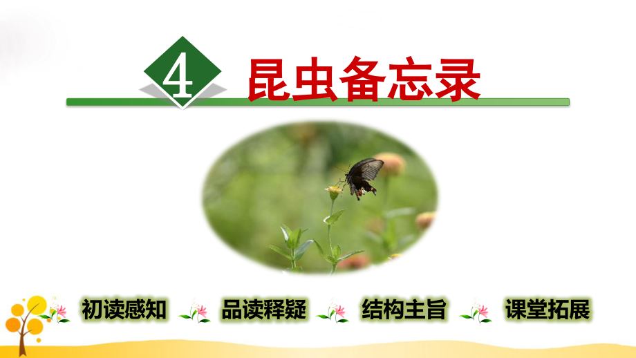 4.昆虫备忘录.ppt_第1页
