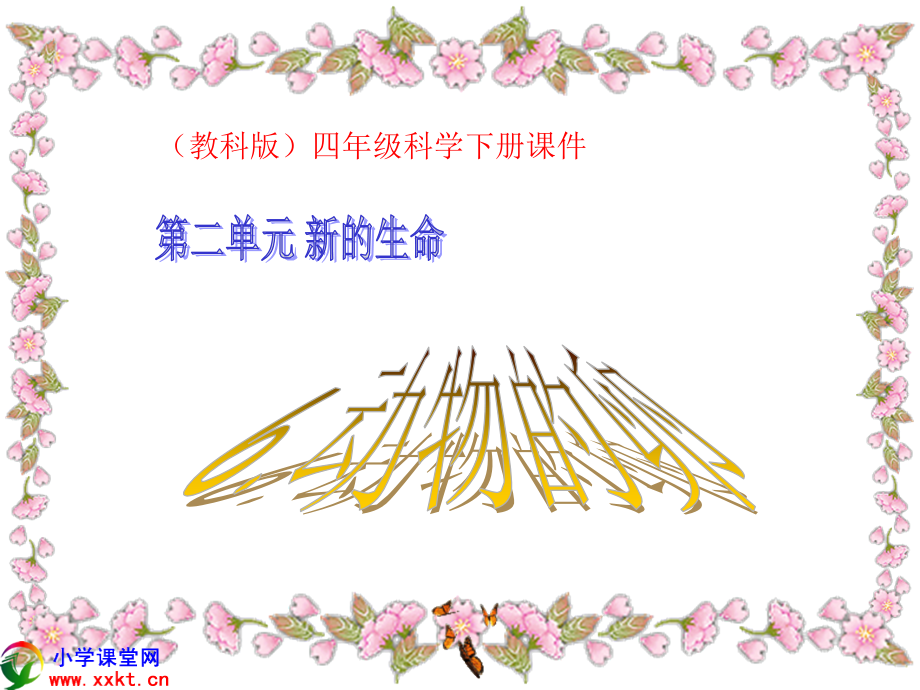 科学PPT课件《动物的卵》.ppt_第1页