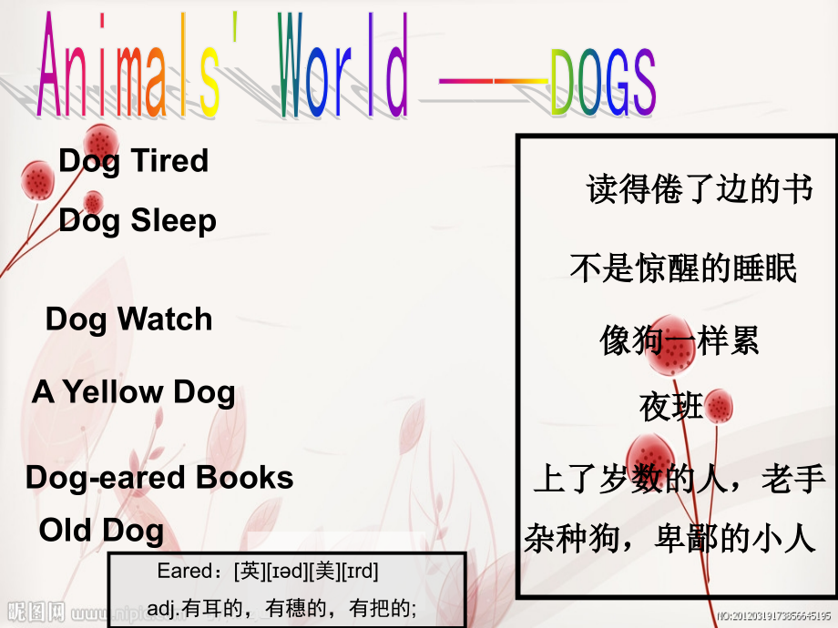 有趣的英语现象课件.ppt_第2页