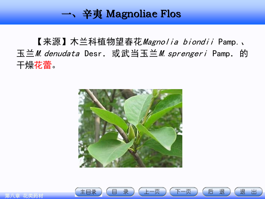 8.花类药材.ppt_第2页