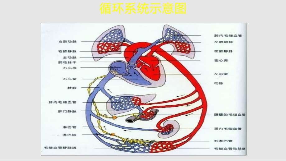 重症心力衰竭的利尿治疗学习PPT教案.pptx_第2页