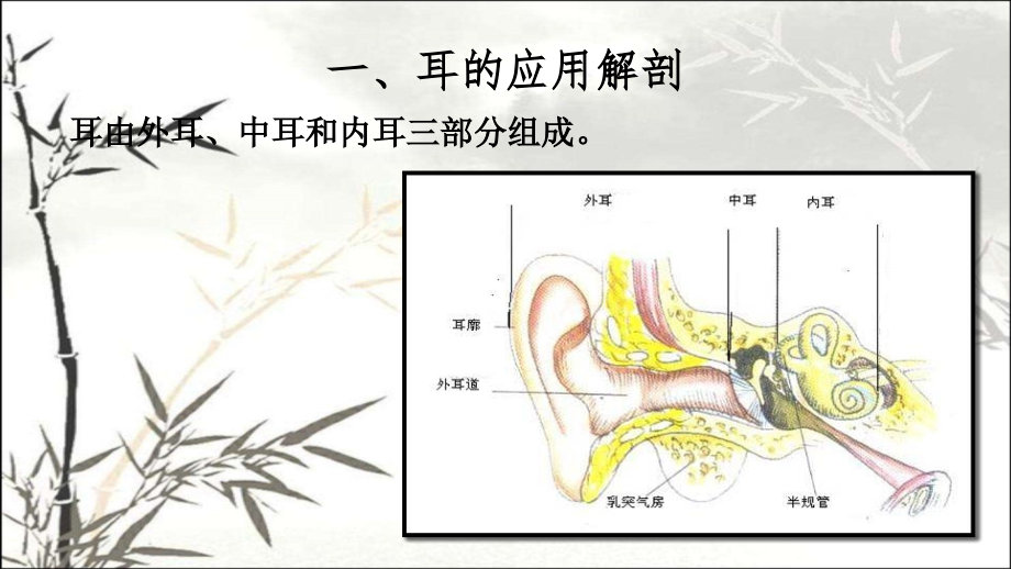 耳解剖课件.ppt_第2页