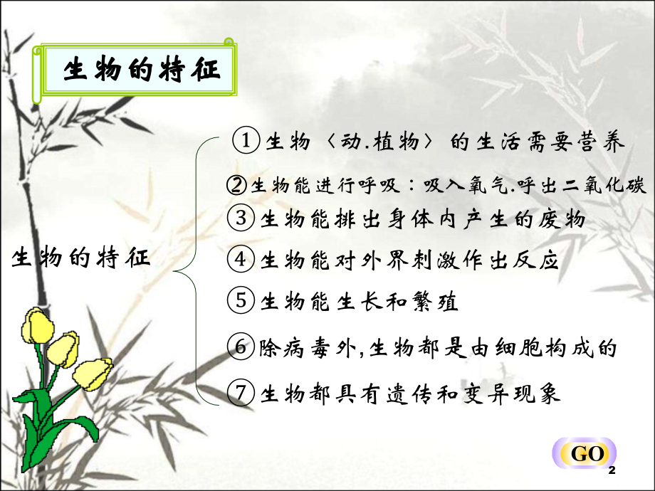 七年级生物上册复习课件课件.ppt_第2页