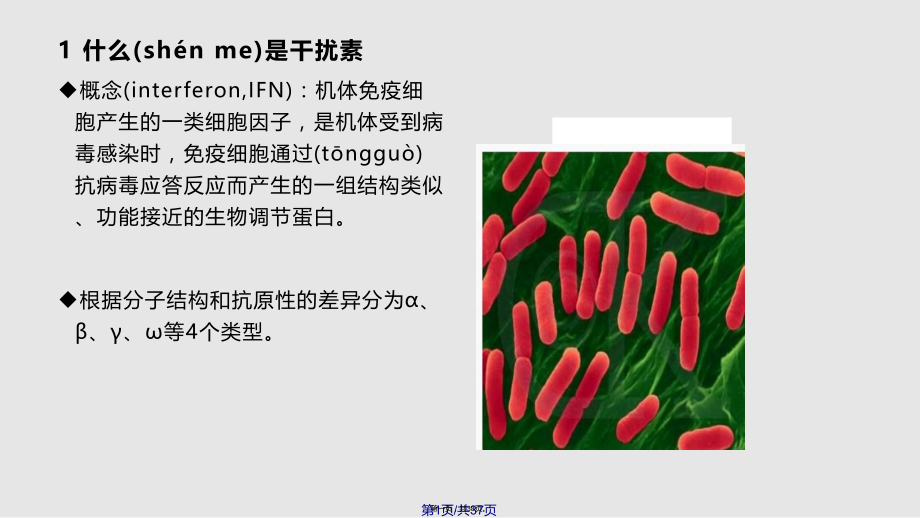 干扰素的工艺制备流程学习.pptx_第1页