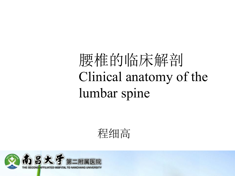 腰椎血管神经解剖.ppt_第1页