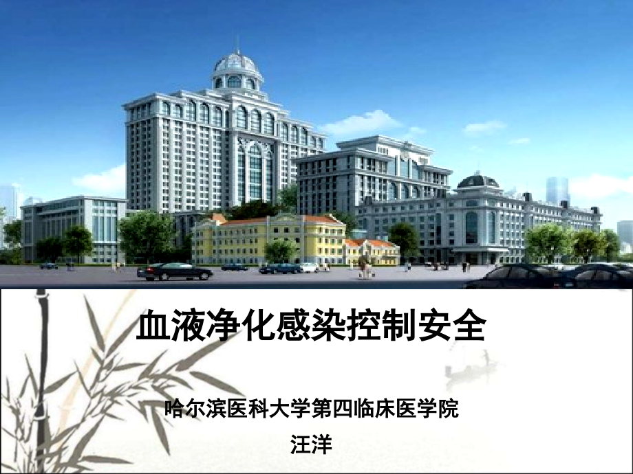 血液净化感染控制安全汪洋.ppt_第1页