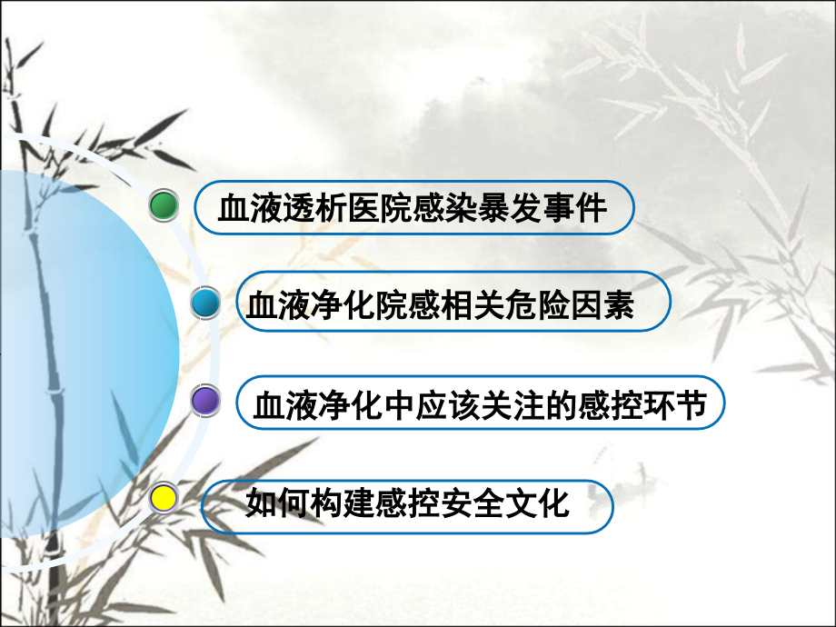 血液净化感染控制安全汪洋.ppt_第2页