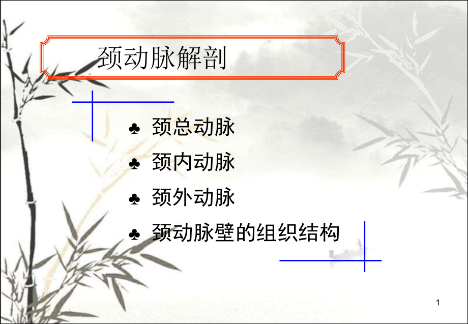 外周动脉解剖简明图课件.ppt_第1页