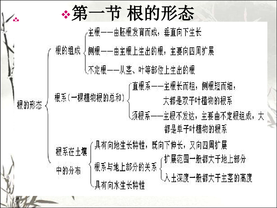 植物学基础知识课件.ppt_第2页