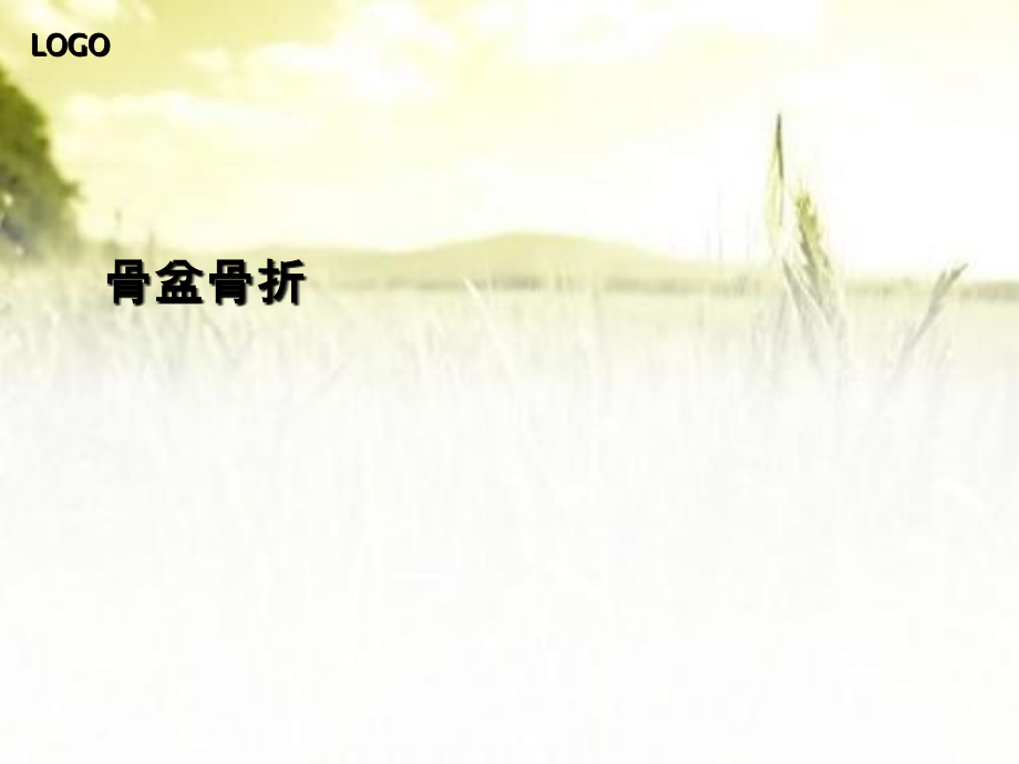 骨盆骨折的治疗.ppt_第1页