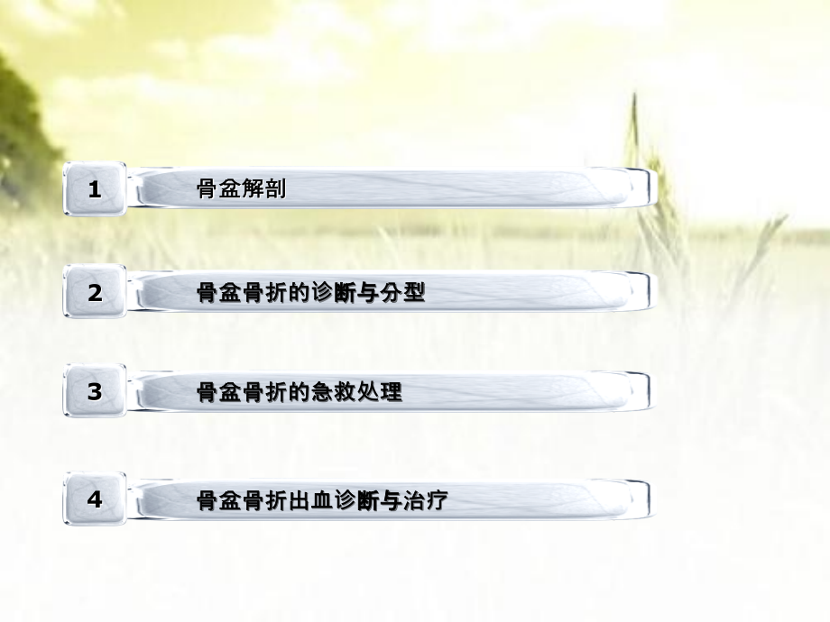 骨盆骨折的治疗.ppt_第2页