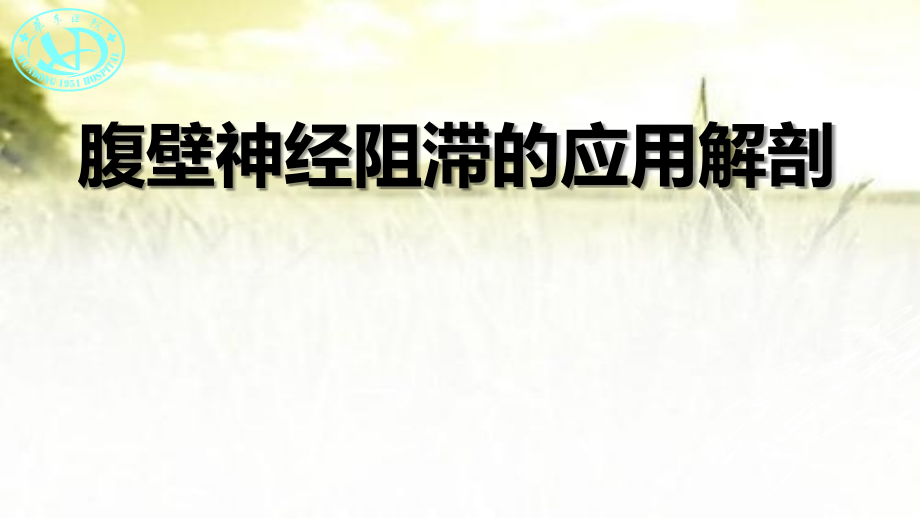 腹部神经阻滞应用解剖(沙龙).ppt_第1页