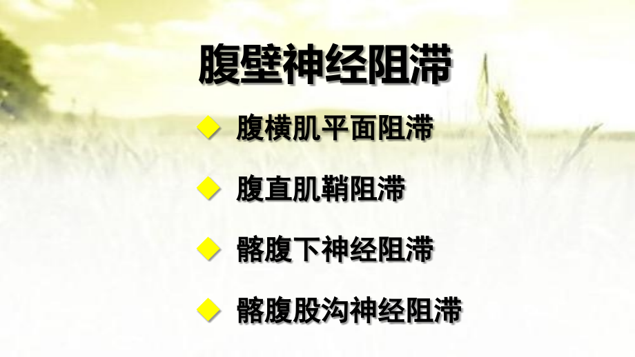 腹部神经阻滞应用解剖(沙龙).ppt_第2页