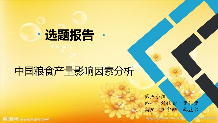 统计学开题报告.ppt_第1页