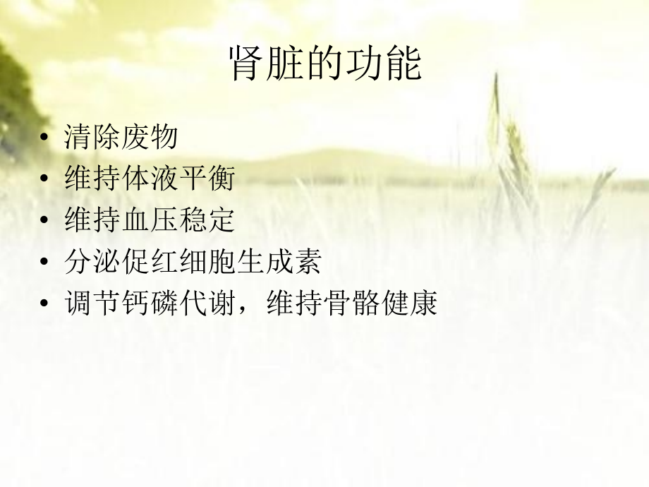 慢性肾脏病饮食原则.pptx_第2页