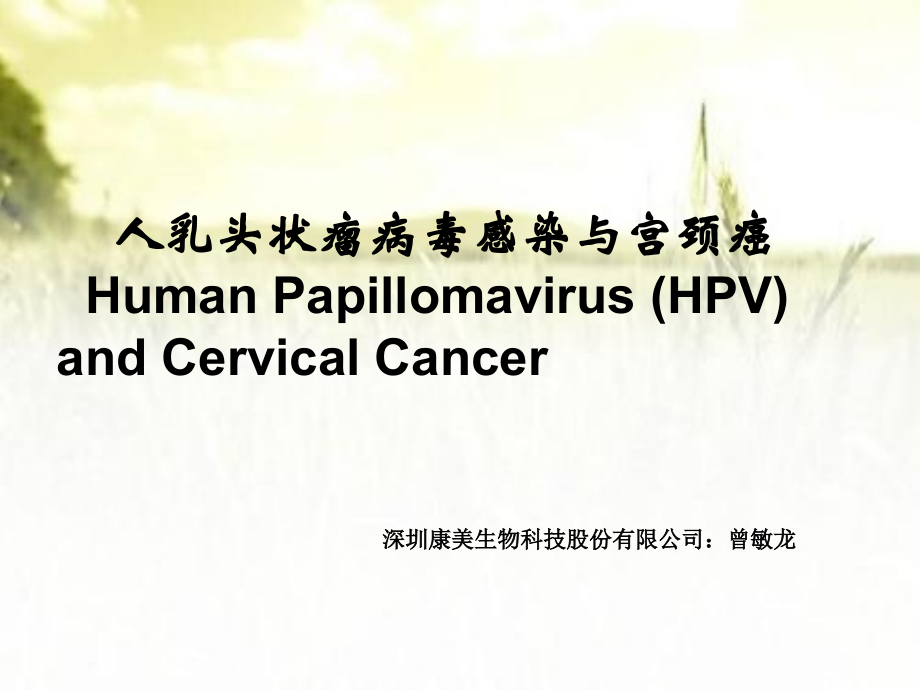 HPV病毒介绍及检测意义.ppt_第1页
