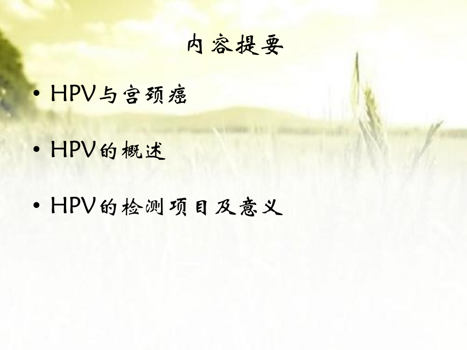 HPV病毒介绍及检测意义.ppt_第2页