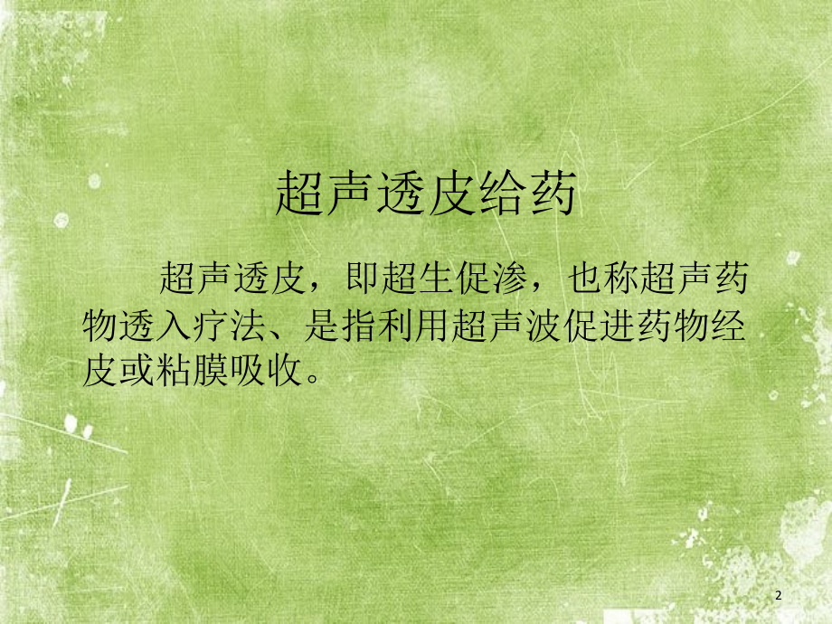 超声透皮给药.ppt_第2页