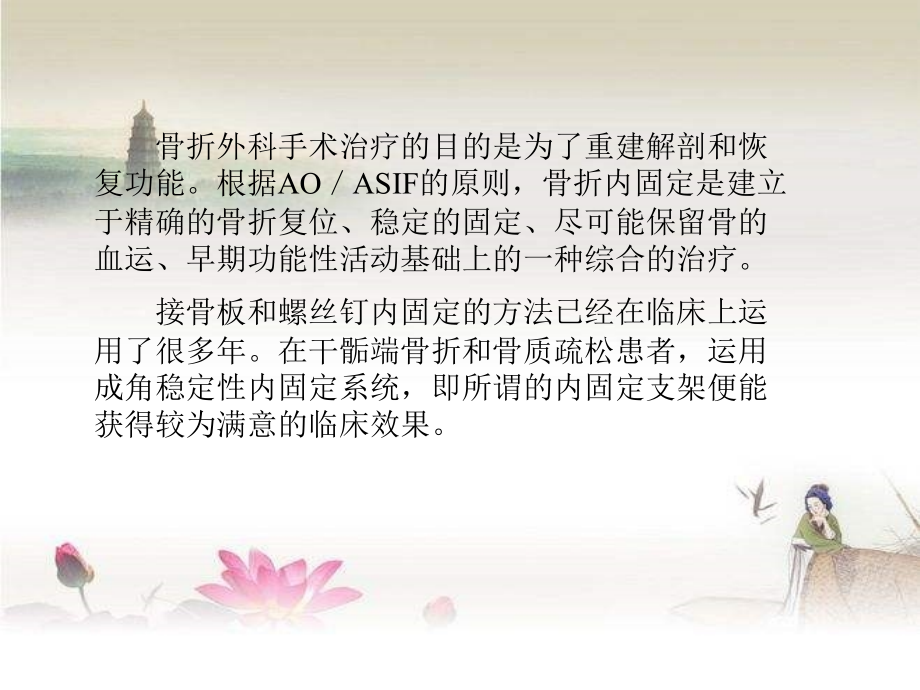 骨科AO锁定钢板技术.ppt_第2页