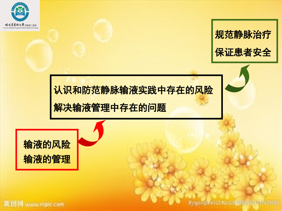 耳鼻喉科常用药输液规范.ppt_第2页