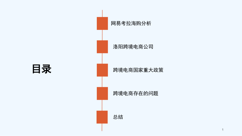 考拉海购电商进口分析.ppt_第1页