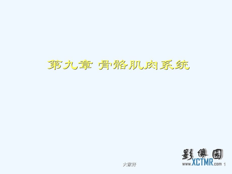 骨骼肌肉系统正常影像学表现.ppt_第1页